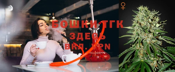 МДПВ Богородицк