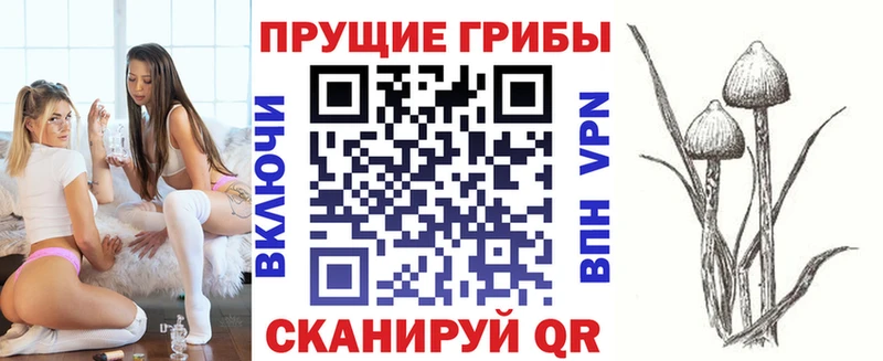 Псилоцибиновые грибы Magic Shrooms  Купить  Сегежа 